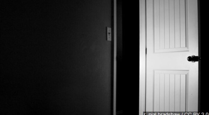 A Woman Shoots Her Husband: Real-Life Case or Fictional Archetype?