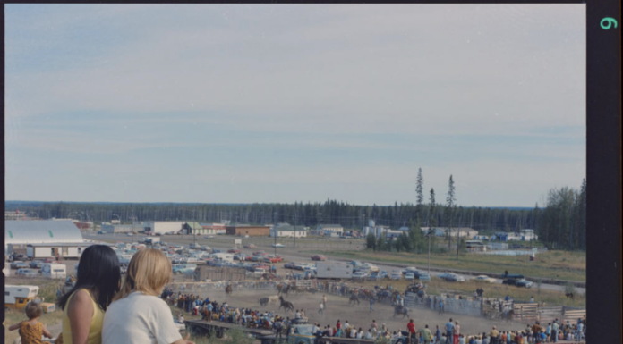 What Percent of Early Rodeo Contestants Were Women? The Surprising Truth