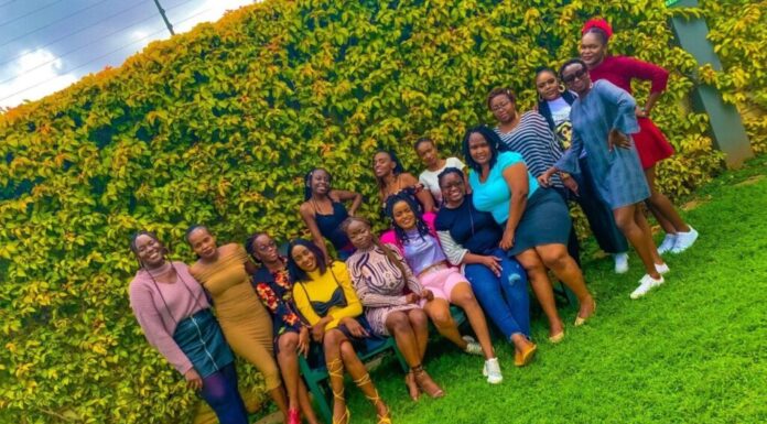 Third Wave Feminism in Kenya: Digital Daughters: Feminist Movements in Modern Kenya