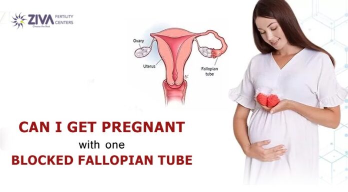 Can a Woman Get Pregnant with One Fallopian Tube? A Medical Miracle?
