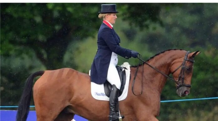 Can a Pregnant Woman Ride a Horse? Stability Safety & Baby Bumps