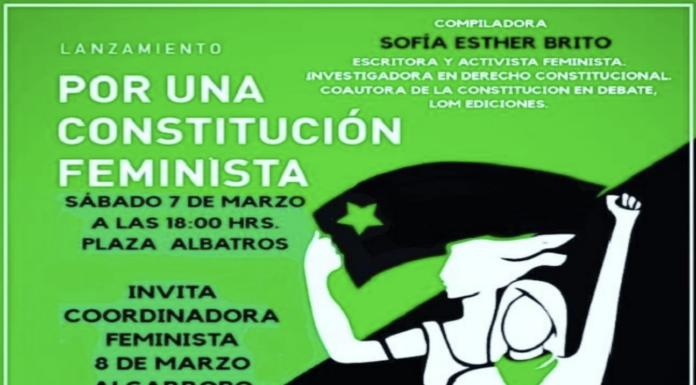 Por una constitución feminista: Reformar la ley desde la igualdad