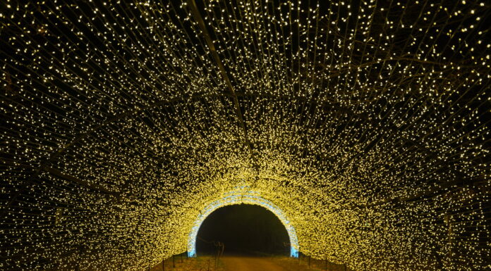 1920s Costume Ideas for Women: Roaring Looks for Dazzling Nights