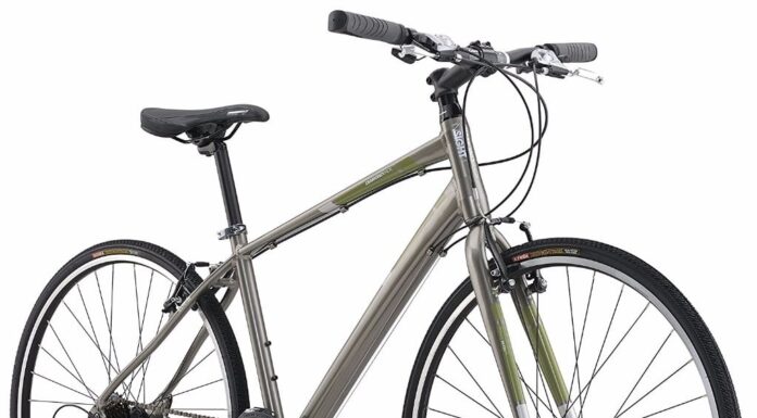 A Woman is No Man: Complete Summary Author Insight & Review