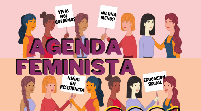 ¿Por qué se crean grupos feministas? Organización y resistencia