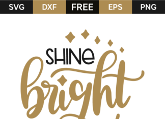 Black and Silver Shoes Women: Shine Bright with These Statement Kicks