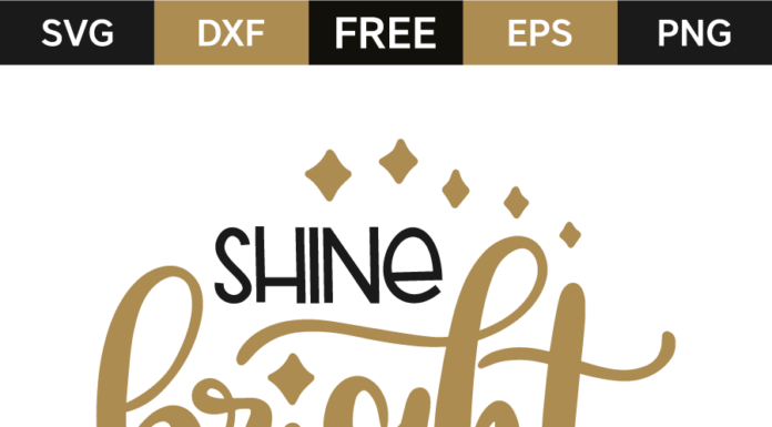 Black and Silver Shoes Women: Shine Bright with These Statement Kicks