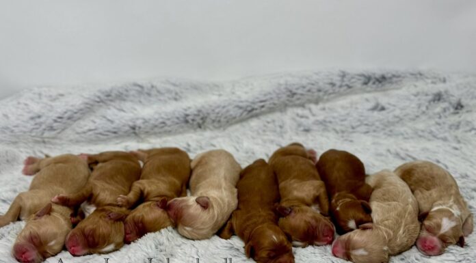 Avery Lane for Women Photos: A Visual Journey into Transformation