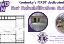 Birmingham Work Release for Women: Rehabilitation and Second Chances