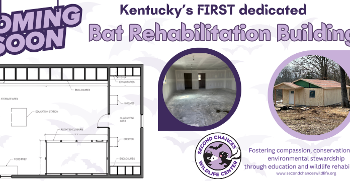 Birmingham Work Release for Women: Rehabilitation and Second Chances