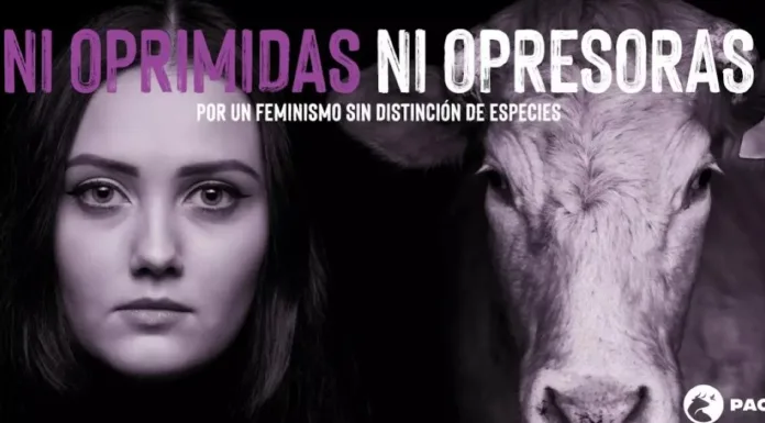 Por un feminismo sin distinción de especies: Rompiendo todas las barreras