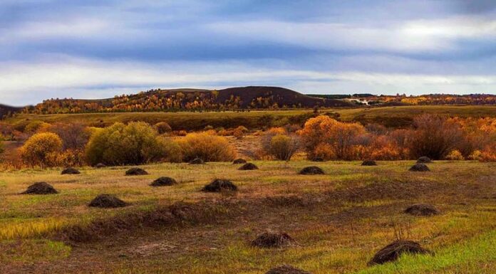 Asian Women Looking for Men: Cultural Norms Myths & Realities