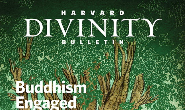 The Nurturing Woman: Nature Nurture & Necessary Conversations