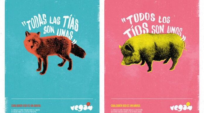 Me gusta ser una zorra: Feminismo y resignificación de insultos