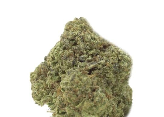 ¿Cómo cultivar Amnesia x AK-47 feminizada? Poder combinado