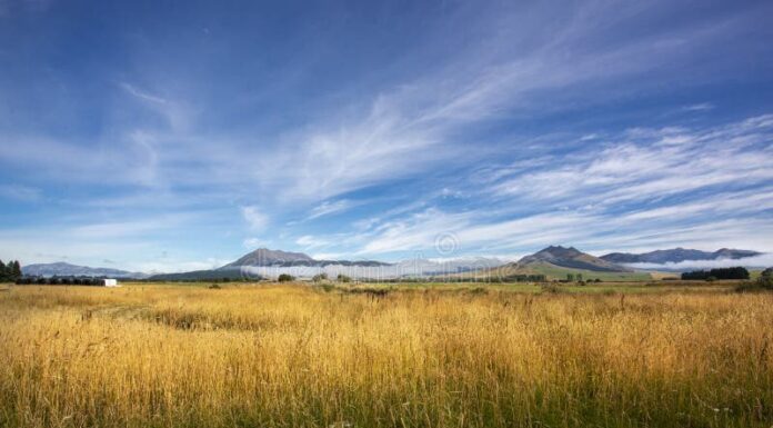 Third Wave Feminism in New Zealand: Land of the Long White Cloud and Feminist Dreams