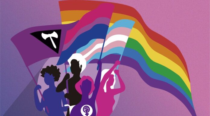 ¿Quién está detrás del feminismo radical y el movimiento LGBT? Teorías y realidades