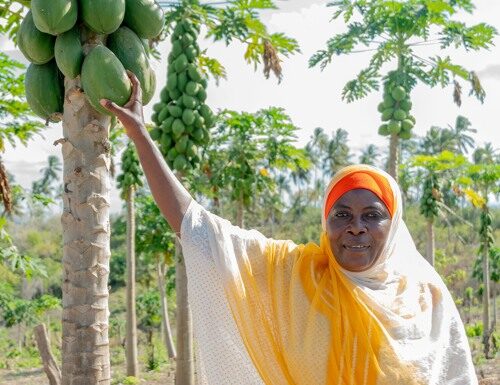 Women’s Day Customs and Traditions in Iceland: Gender Equality in the Land of Fire and Ice