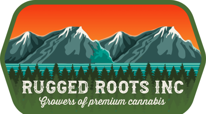 Brown Riding Boots for Women: Rugged Roots Runway Ready