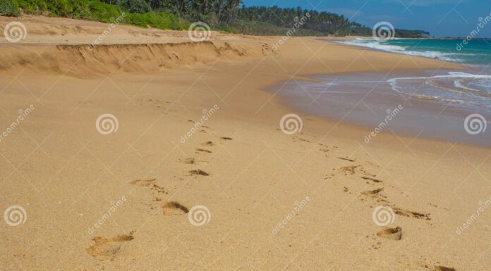 Palau’s Feminist Footsteps: Second Wave Movements in Island Tradition