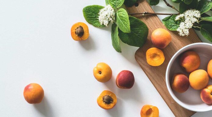 Can Pregnant Women Eat Apricot? Stone Fruit with a Side of Caution