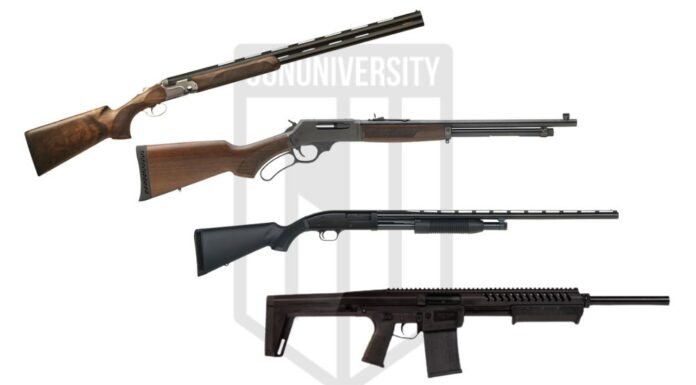 12 Gauge Shotguns for Women: Firepower with Feminine Precision