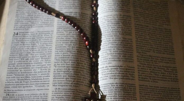 Bible Verses About Women and Men: Insights into Relationships and Faith