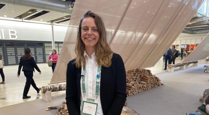 Fourth Wave Feminism in New Zealand: Pioneering Gender Equality