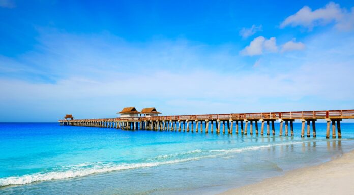 A Woman’s Place Naples Reviews: What Local Clients Say