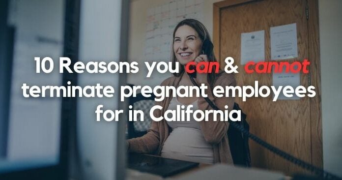 Can You Fire a Pregnant Woman in Florida? Employment Laws You Should Know