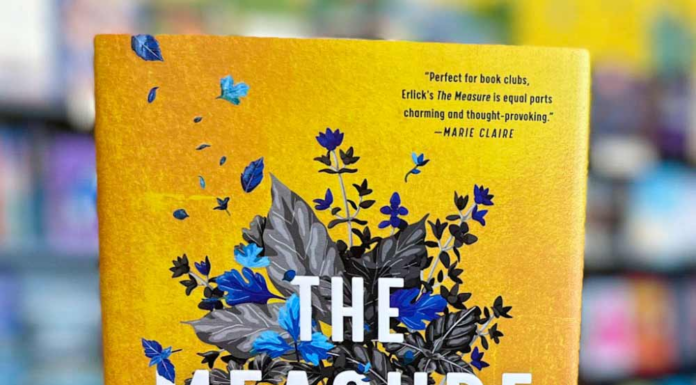 Book Club Questions for Little Women: Classic Themes Modern Insights