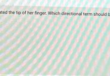 Why a Woman Amputated the Tip of Her Finger: Strange but True