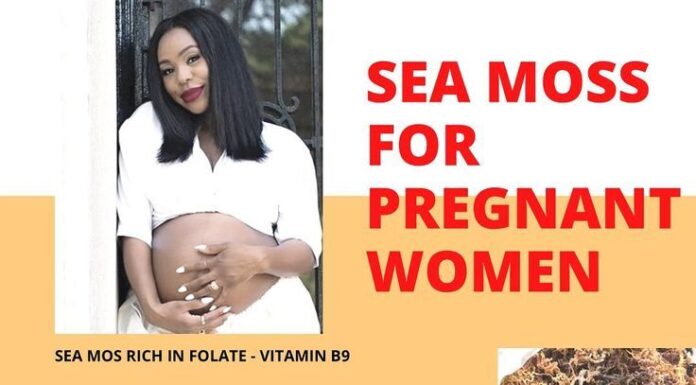 Can Pregnant Women Have Sea Moss? Trending Superfood and Prenatal Health