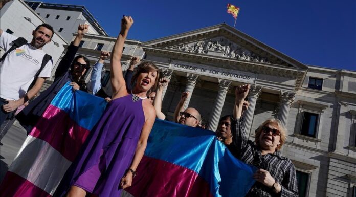 ¿Por qué la Ley Trans divide al movimiento feminista? Tensiones internas