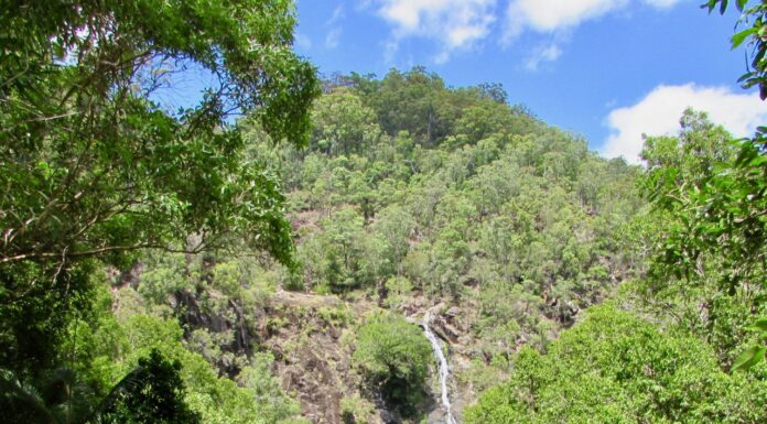 A Woman’s Center of Hollywood: What You Need to Know Before Visiting