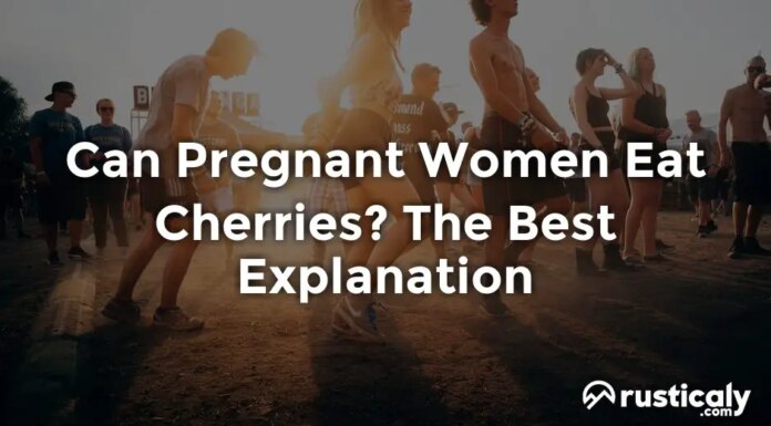 Can Pregnant Women Have Cherries? Sweet Treats and Baby Health