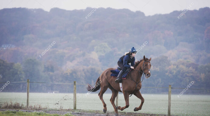 Can a Pregnant Woman Go Horse Riding? Galloping Through the Guidelines