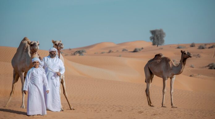 Women’s Day Customs and Traditions in Namibia: Desert Culture and Women’s Leadership