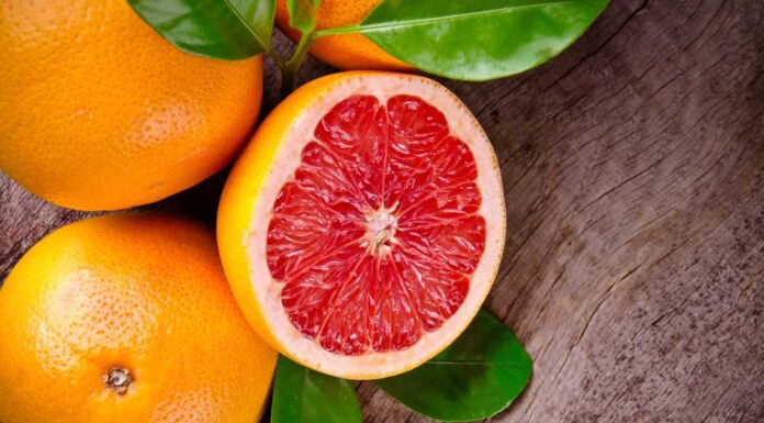 Can Pregnant Women Eat Grapefruit? Citrus Cravings & Cautions