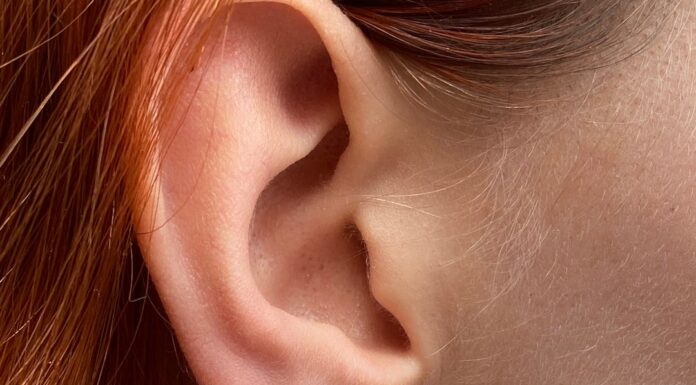 Amberta Women Handmade 925 Sterling Silver Chunky Hoop Earrings: A Timeless Choice