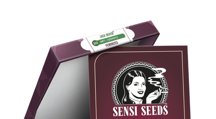 ¿Cómo cultivar Jack Herer x Skunk feminizada? Potencia y facilidad en el cultivo
