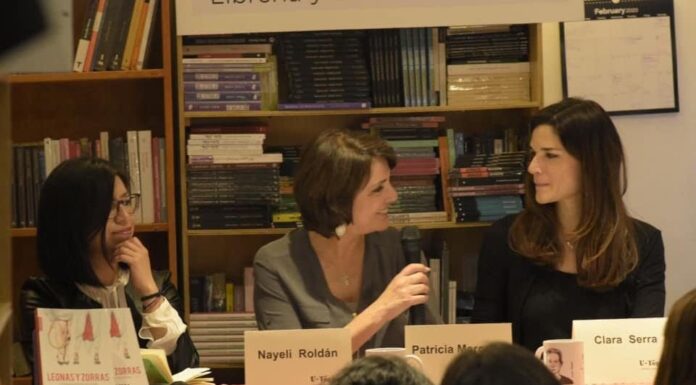 Leonas y zorras: La propuesta de un sujeto feminista popular