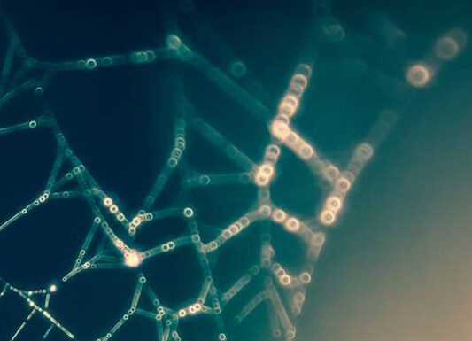 Brown Crossbody Bags for Women: Sleek Functional Fabulous