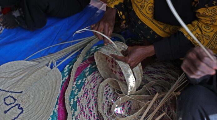 Fourth Wave Feminism in Yemen: Brave Women Defying Odds