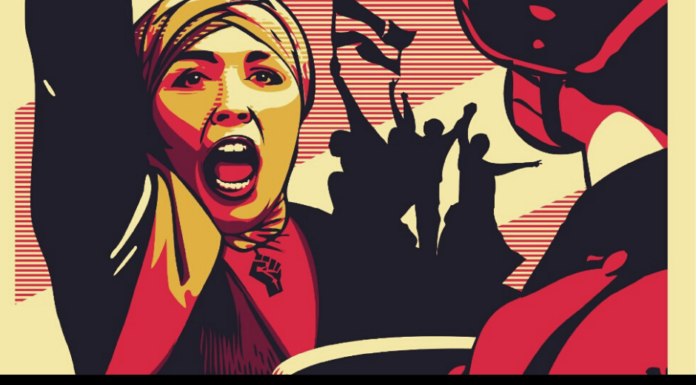 ¿Por qué no somos feministas? Una mirada crítica