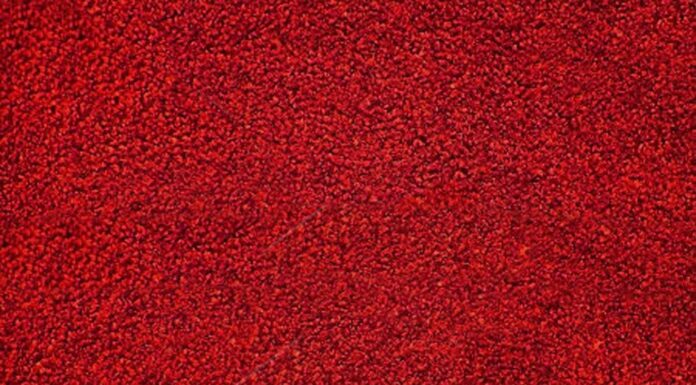 Black Velvet Gown for Women: Regal Texture Red Carpet Ready