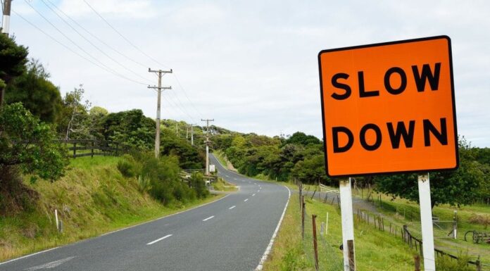 A Day in the Life of a Retired Woman: Slowing Down Without Stopping