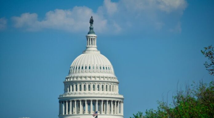 Central African Republic’s Feminist Awakening: Second Wave Amidst Instability