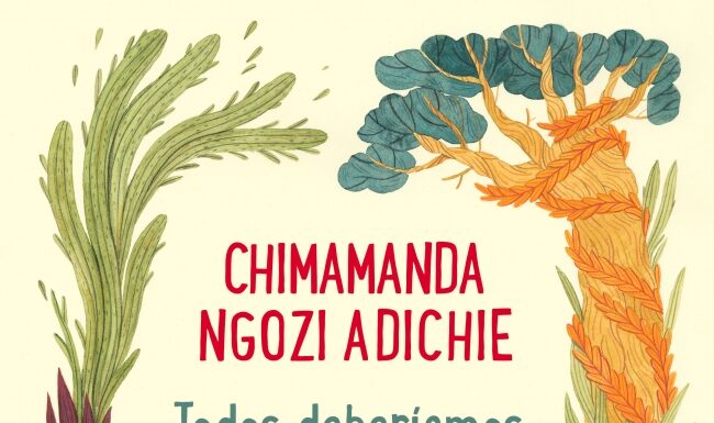 Descargar gratis ‘Todos deberíamos ser feministas’ de Chimamanda Adichie (PDF)
