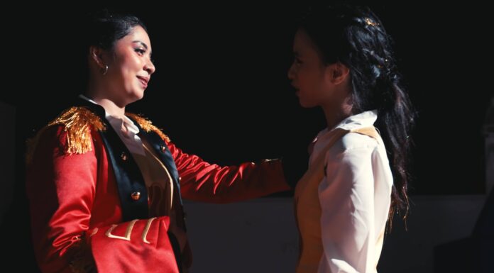 Cleaning Up the Past: A Manual for Cleaning Women Summary